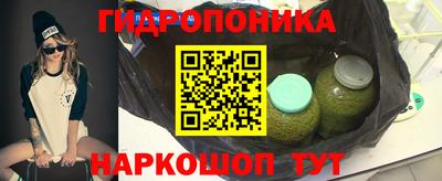 jwh Будённовск